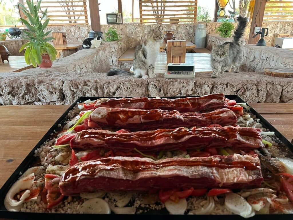 gastronomia campestre rancho kokoye
